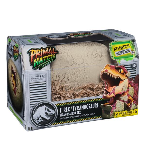 Œuf magique Dinosaure géant Mercredi et Patati - Le petit Souk