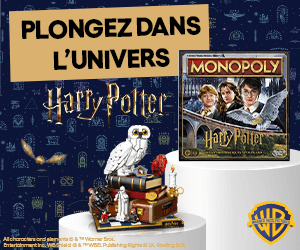 Sélection Harry Potter