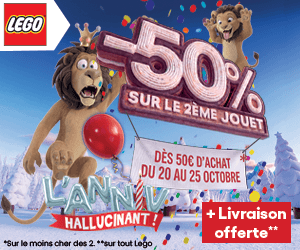 Offre anniversaire LEGO : Le 2ème à -50%